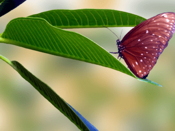 Redundancy, career counselling, executive jobs, career advancement, training, portfolio career, career coaching, Rachel Brushfield, future proof career, create portfolio career, Energise, Online course, inspiring portfolio careers,